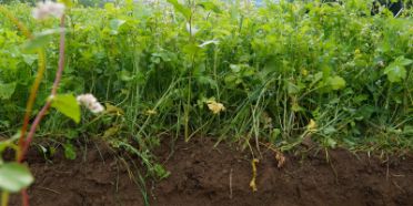 © Thomas Alföldli / TRAILS4SOIL