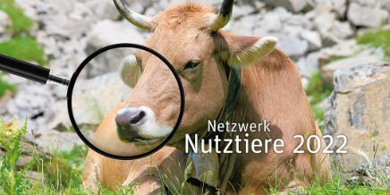 Netzwerk Nutztiere 2022